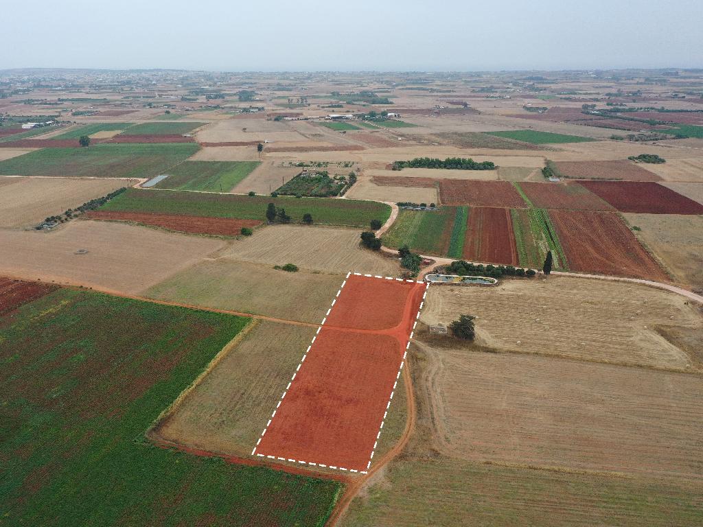 Field-Avgorou-PR37387