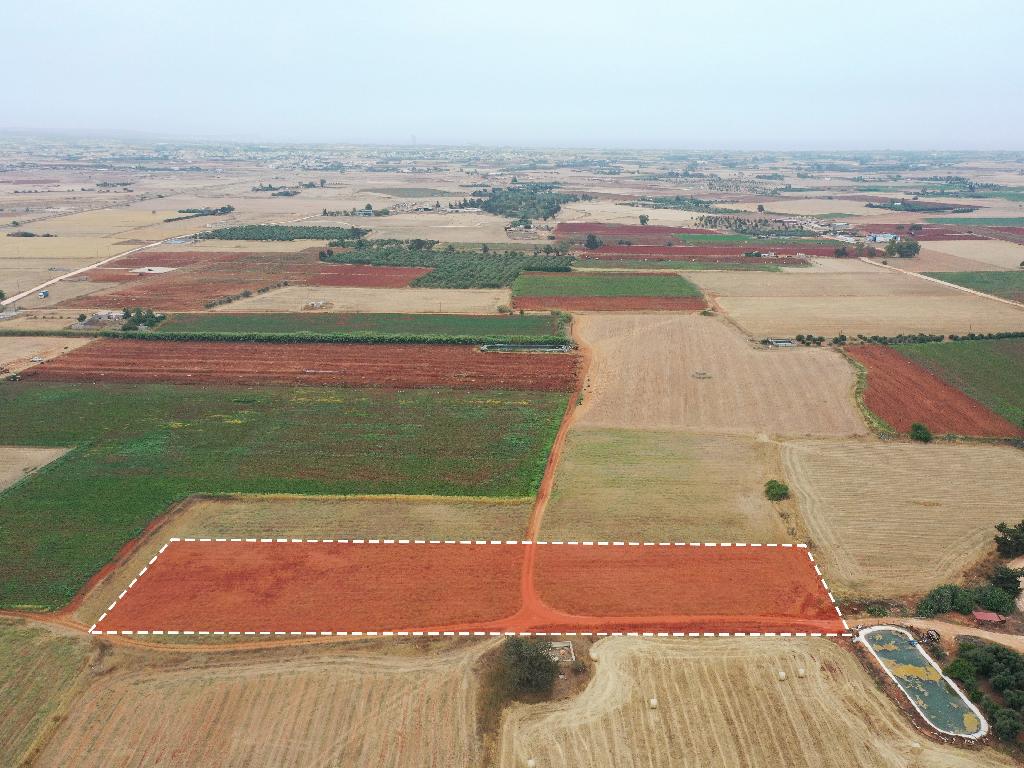 Field-Avgorou-PR37387