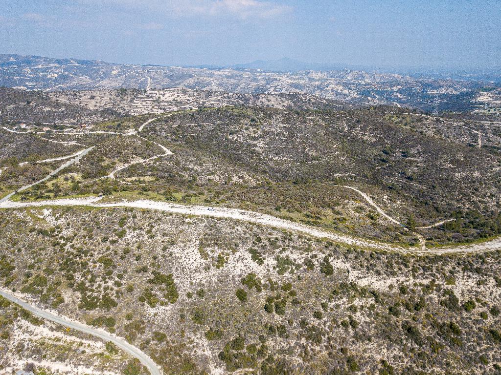 Field (Share)  - Ora, Larnaca