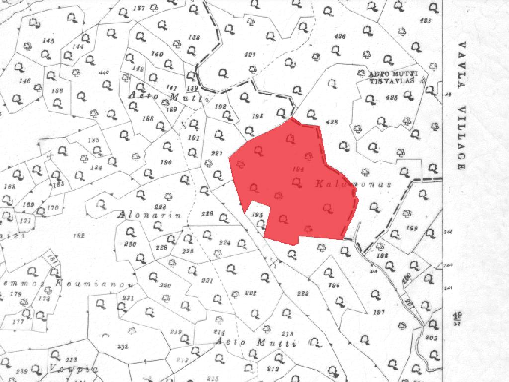 Field-Ora-PR37416