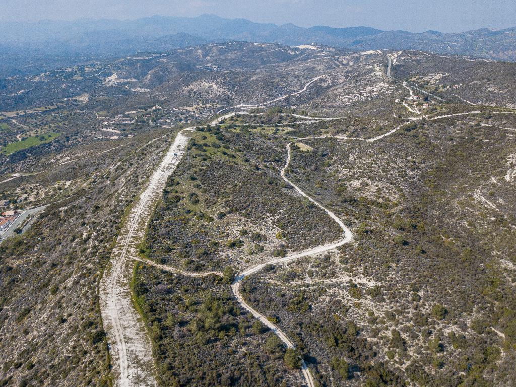 Field (Share)  - Ora, Larnaca