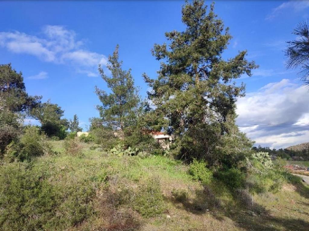 Field-Agia Marina (Xyliatou)-PR38522