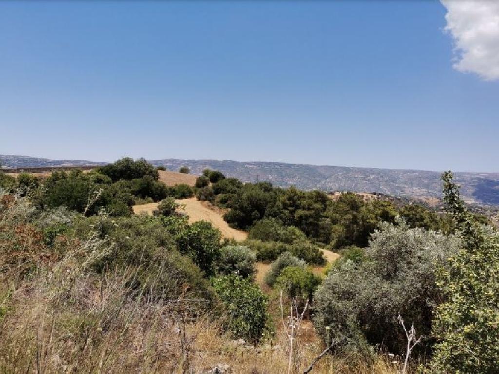 Field-Drymou-PR39592