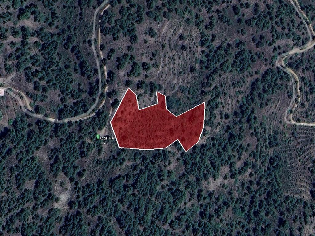 Field-Palaichori Morfou-PR39544