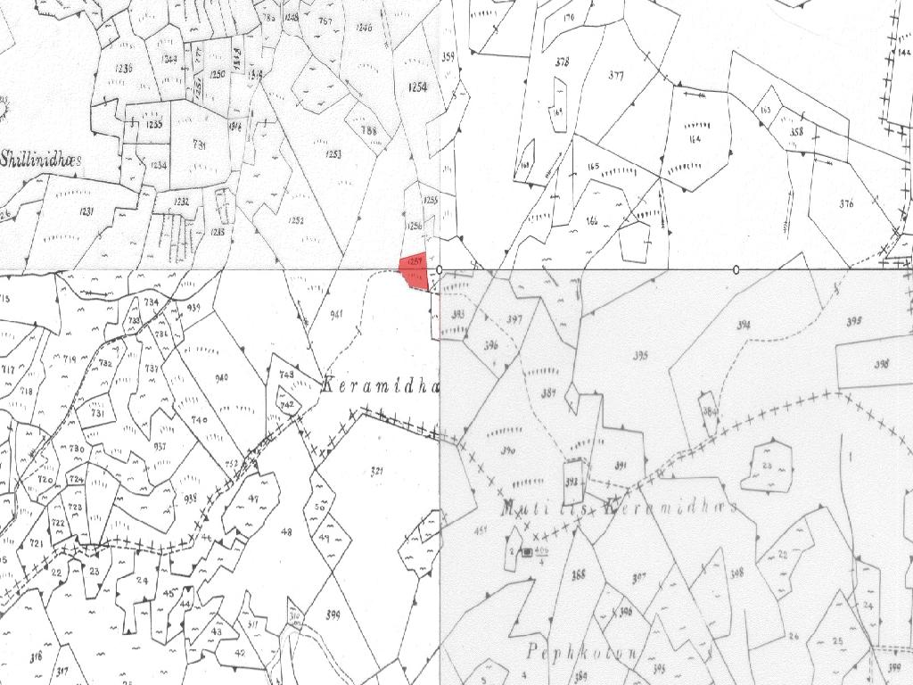 Field-Farmakas-PR40166