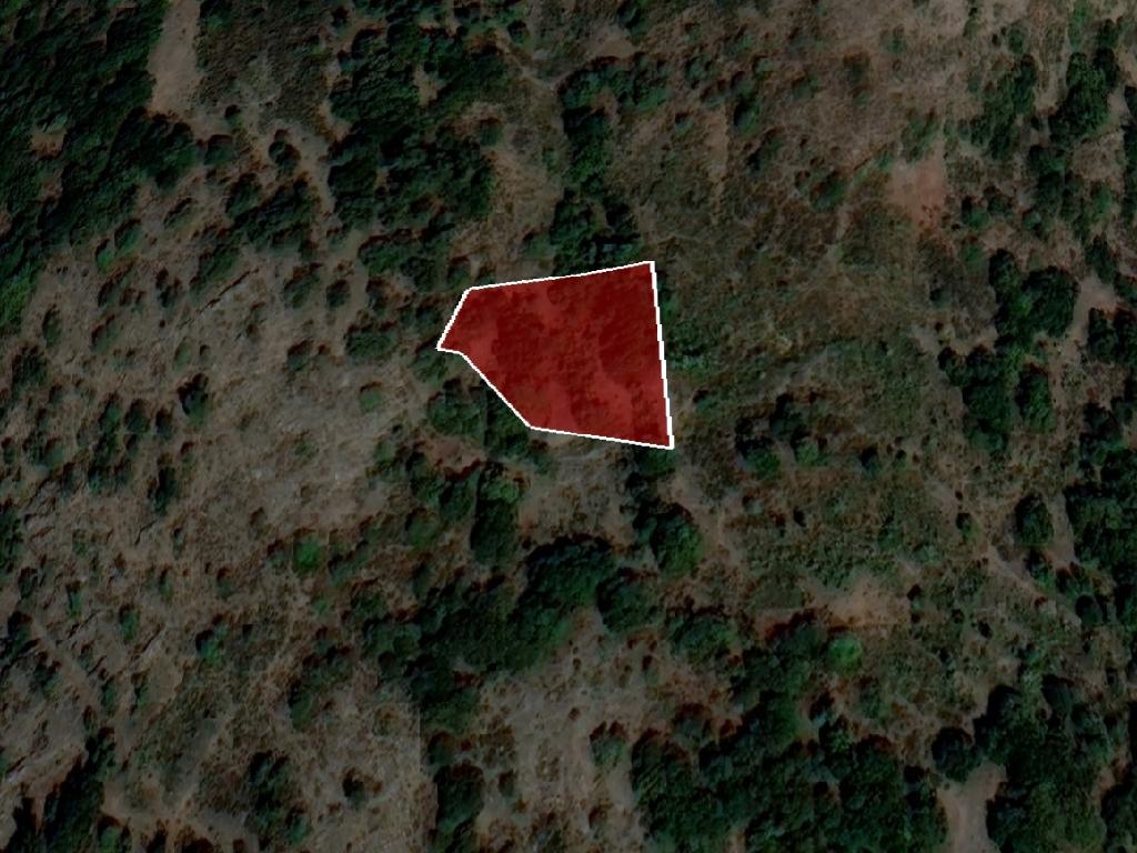 Field-Farmakas-PR40166