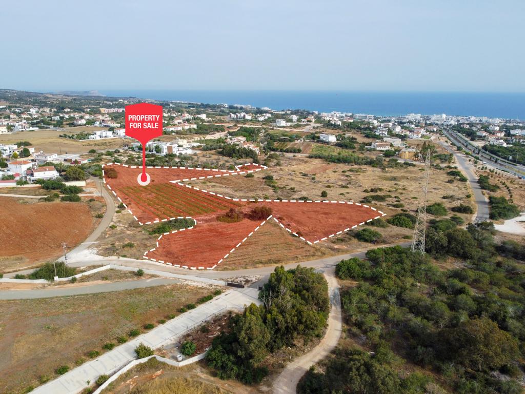 Field-Agia Napa-CP10078