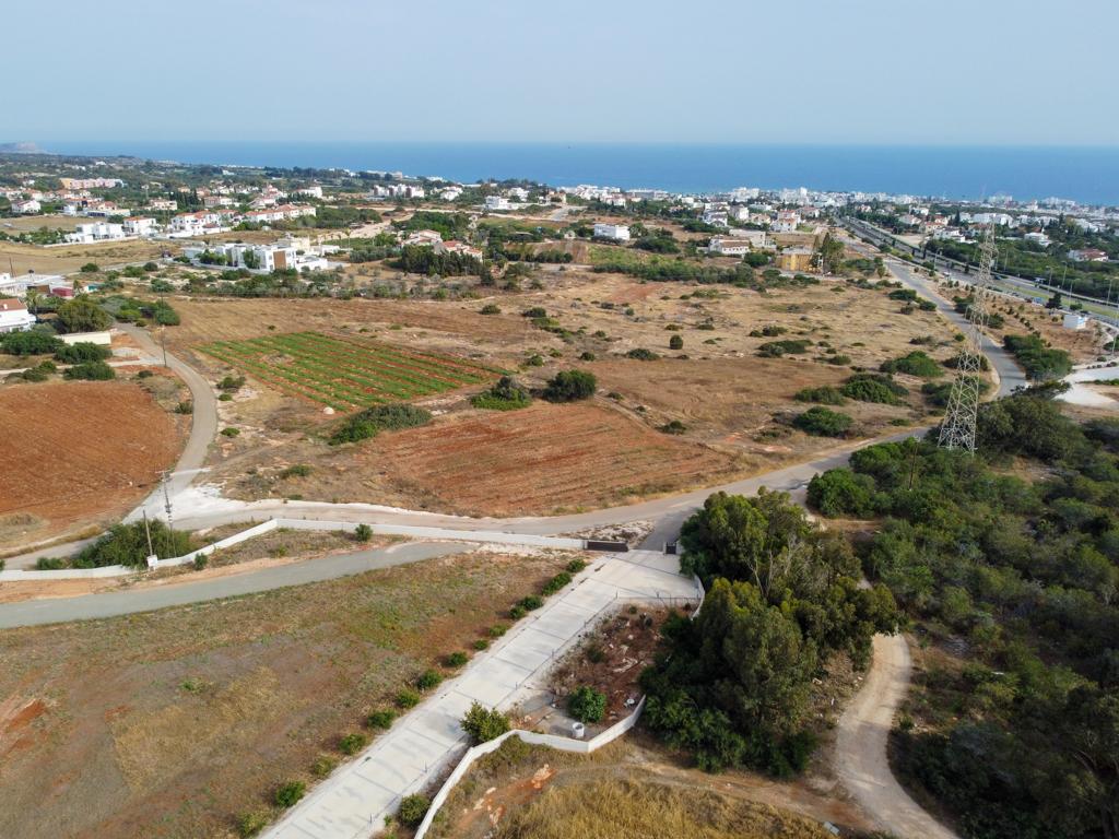 Field-Agia Napa-CP10078