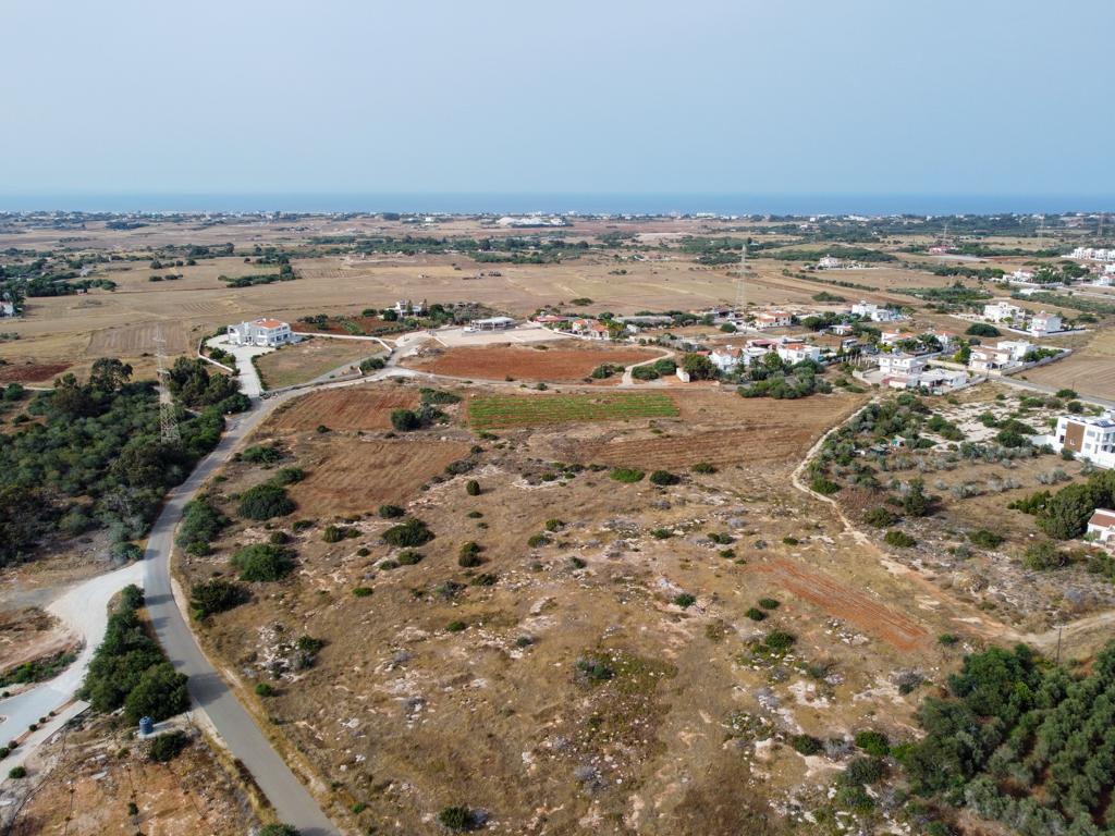 Field-Agia Napa-CP10078