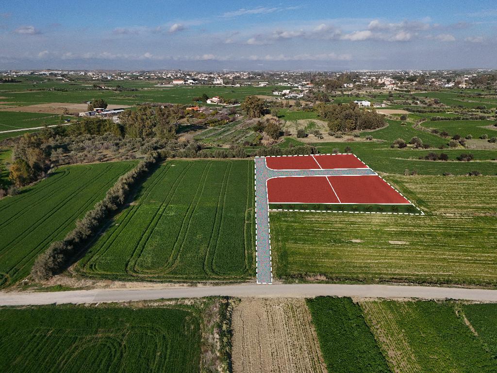 Field - Politiko, Nicosia