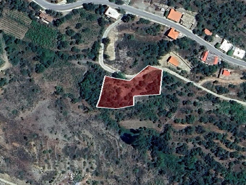 Field-Chandria-PR42461