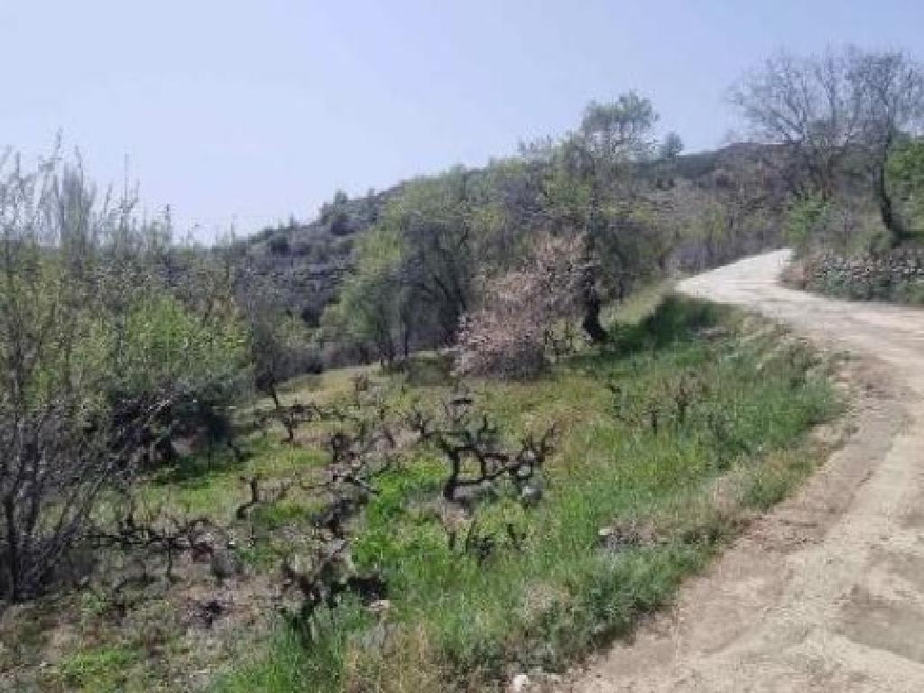 Field-Chandria-PR42461