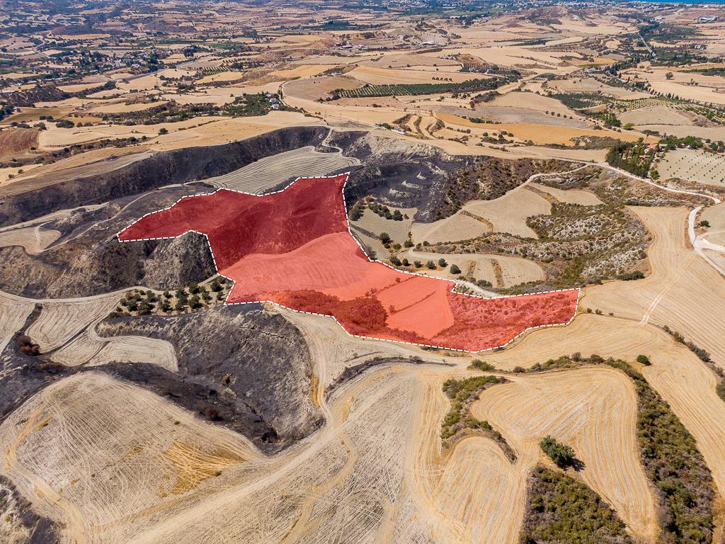 Field - Steni, Paphos