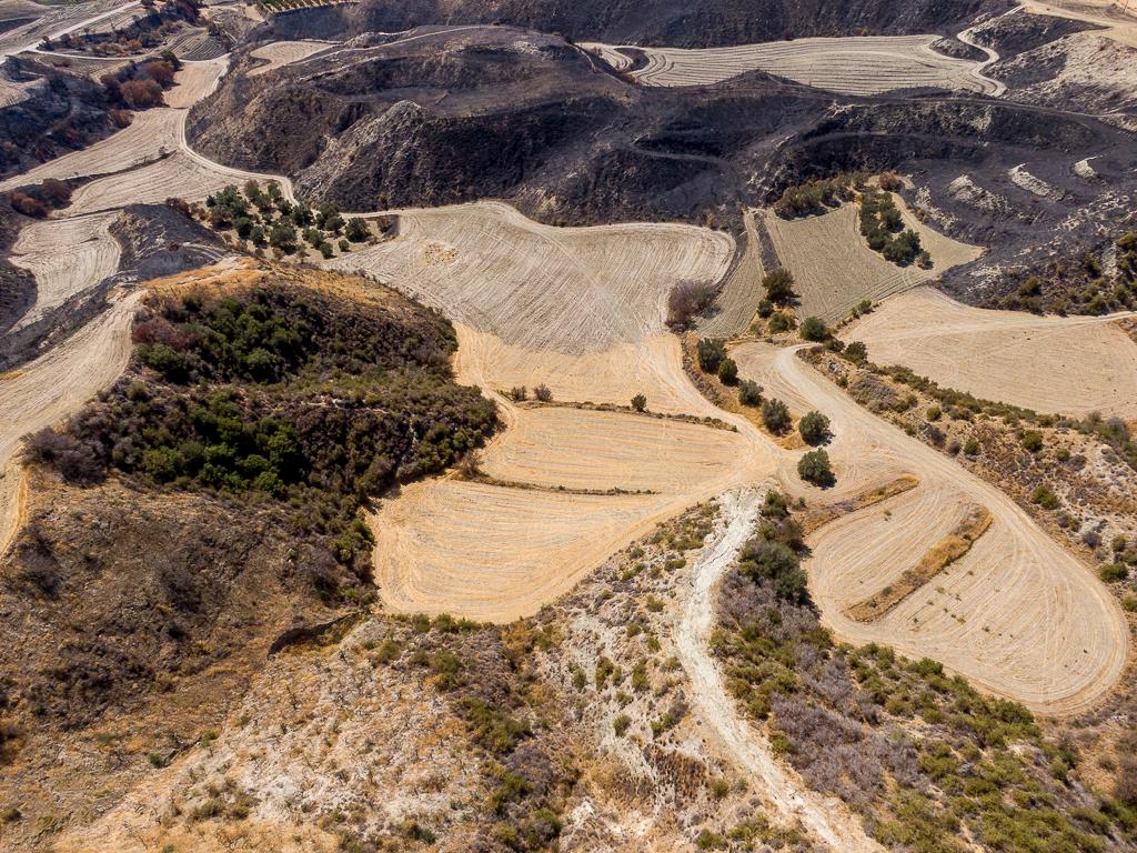 Field - Steni, Paphos