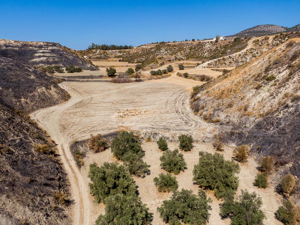 Field - Steni, Paphos