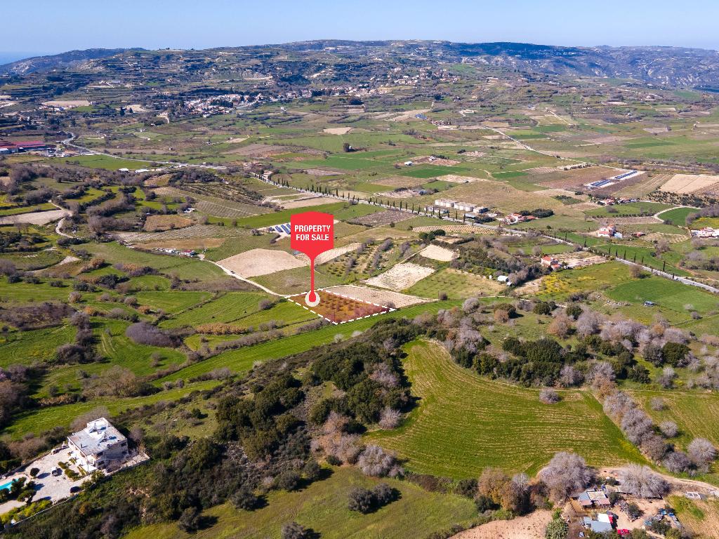 Field - Polemi, Paphos