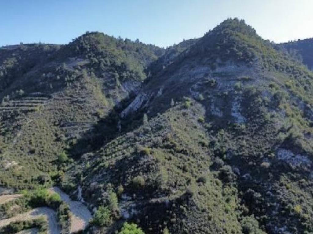 Field-Agios Mamas-CP10204