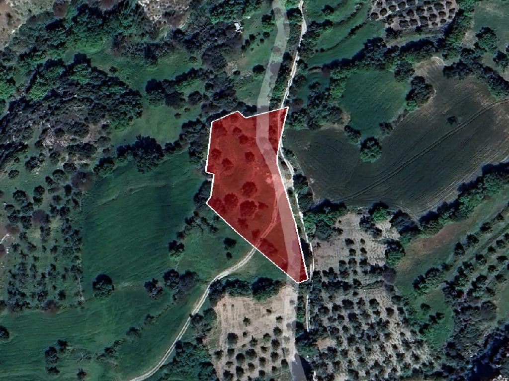 Field - Peristerona, Paphos