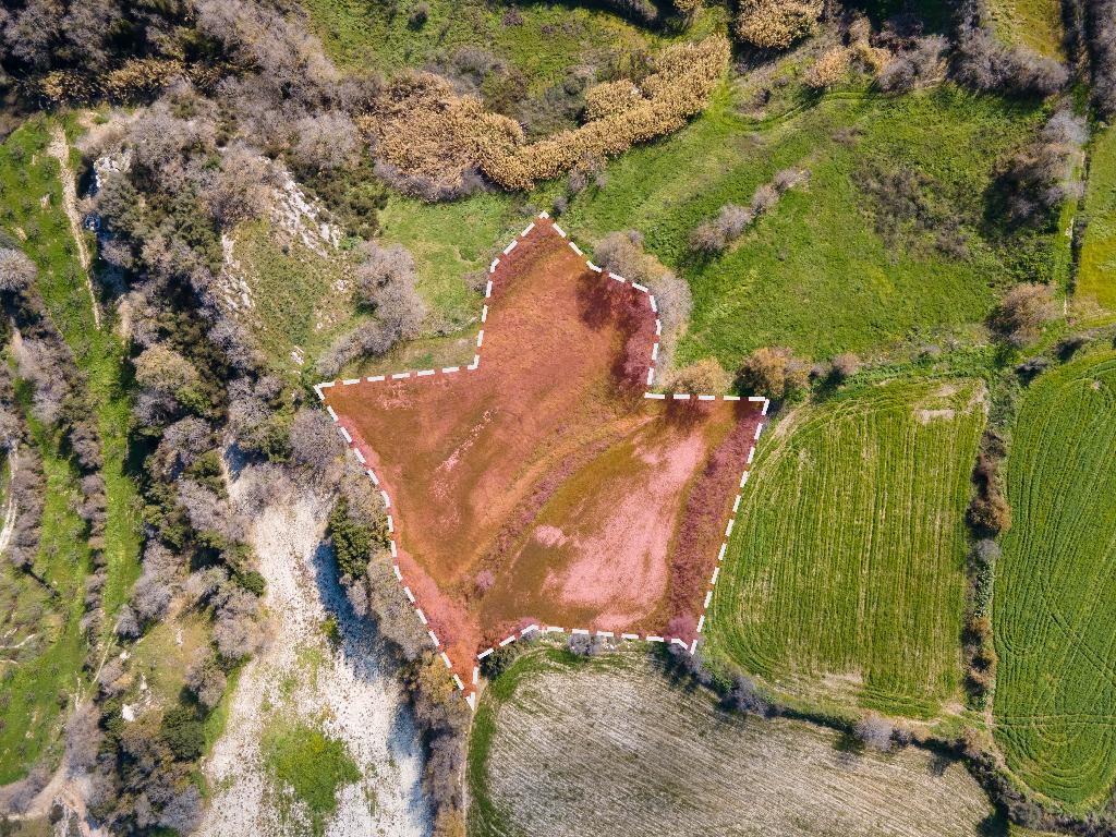 Field-Stroumpi-PR11762
