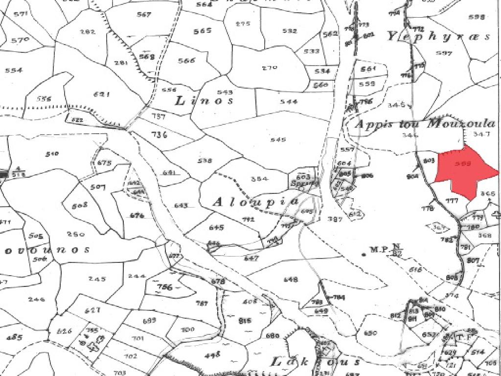 Field-Stroumpi-PR11762