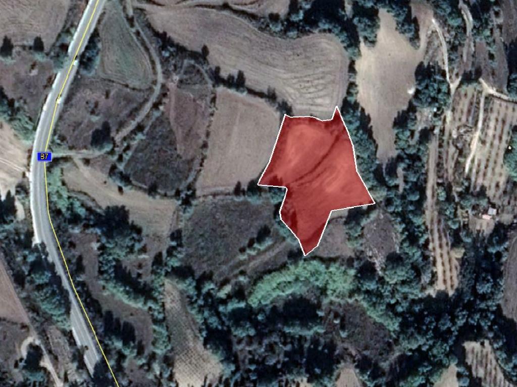 Field-Stroumpi-PR11762