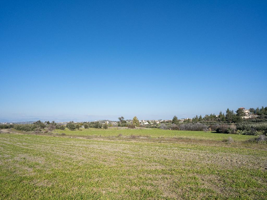 Field-Kalo Chorio (Oreinis)-PR15275