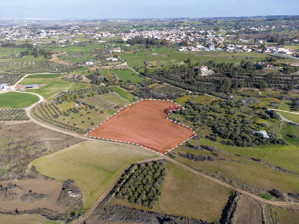 Field-Kalo Chorio (Oreinis)-PR15275