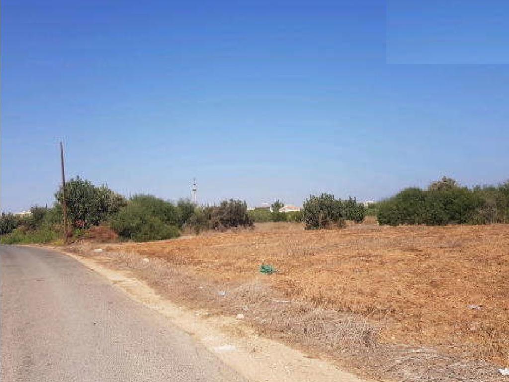Field-Paralimni-PR32187