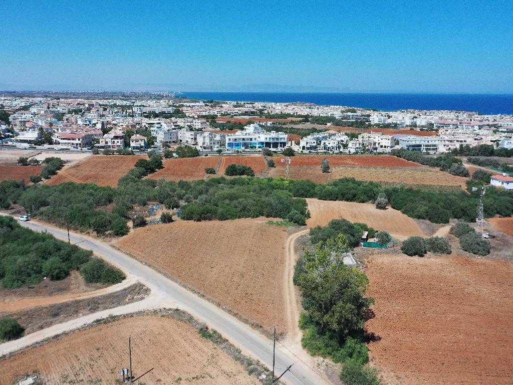 Field-Paralimni-PR32187