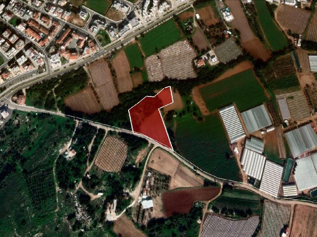 Field-Paralimni-PR32187