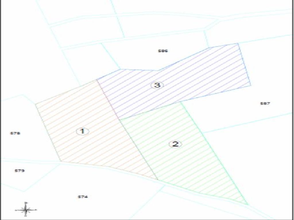 Field-Paralimni-PR32187
