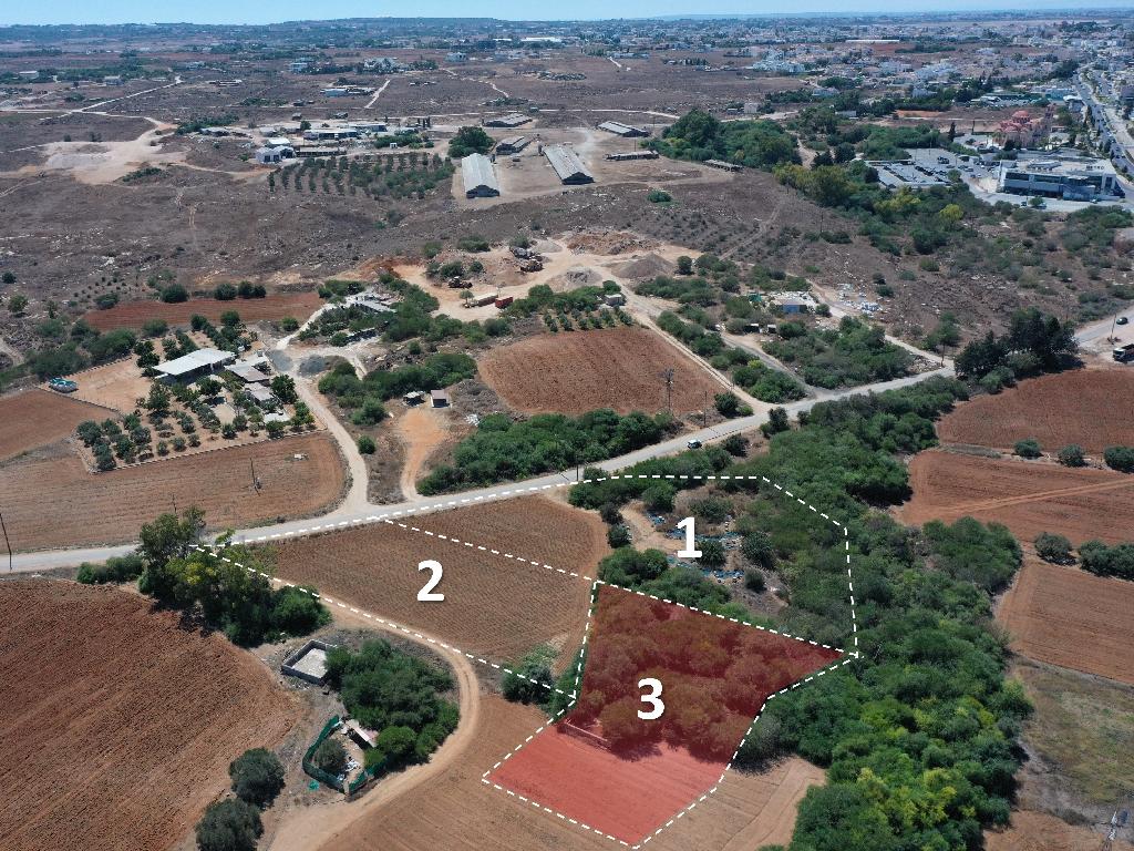 Field-Paralimni-PR32187