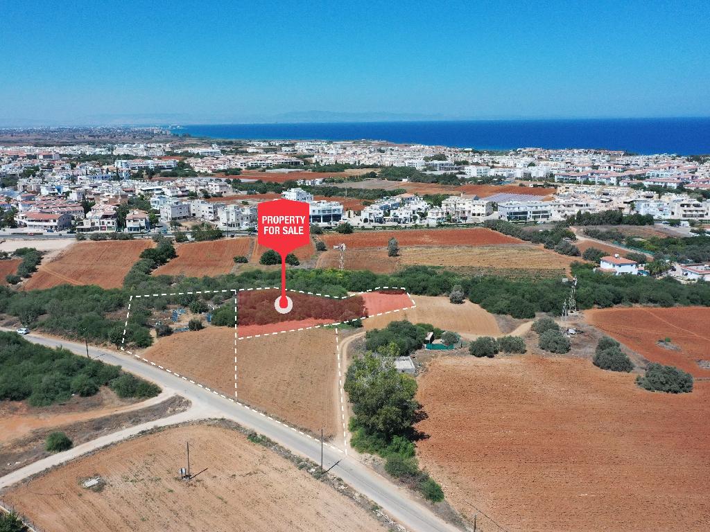 Field-Paralimni-PR32187