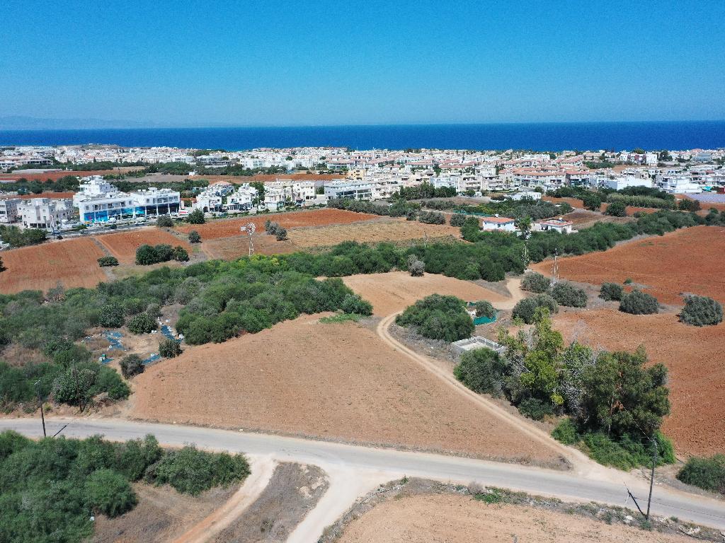 Field-Paralimni-PR32187