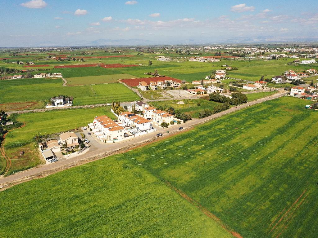 Field (Share) - Avgorou, Famagusta