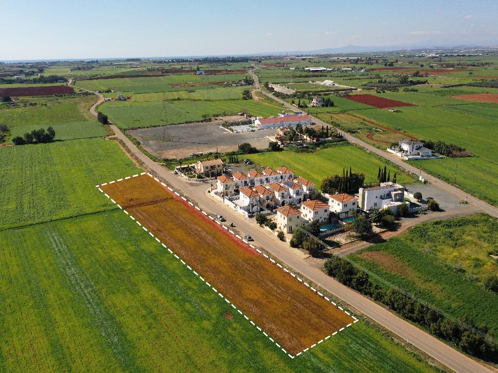 Field (Share) - Avgorou, Famagusta