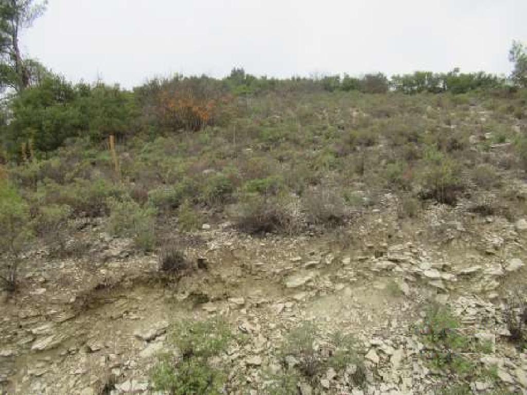 Field-Arminou-PR35192