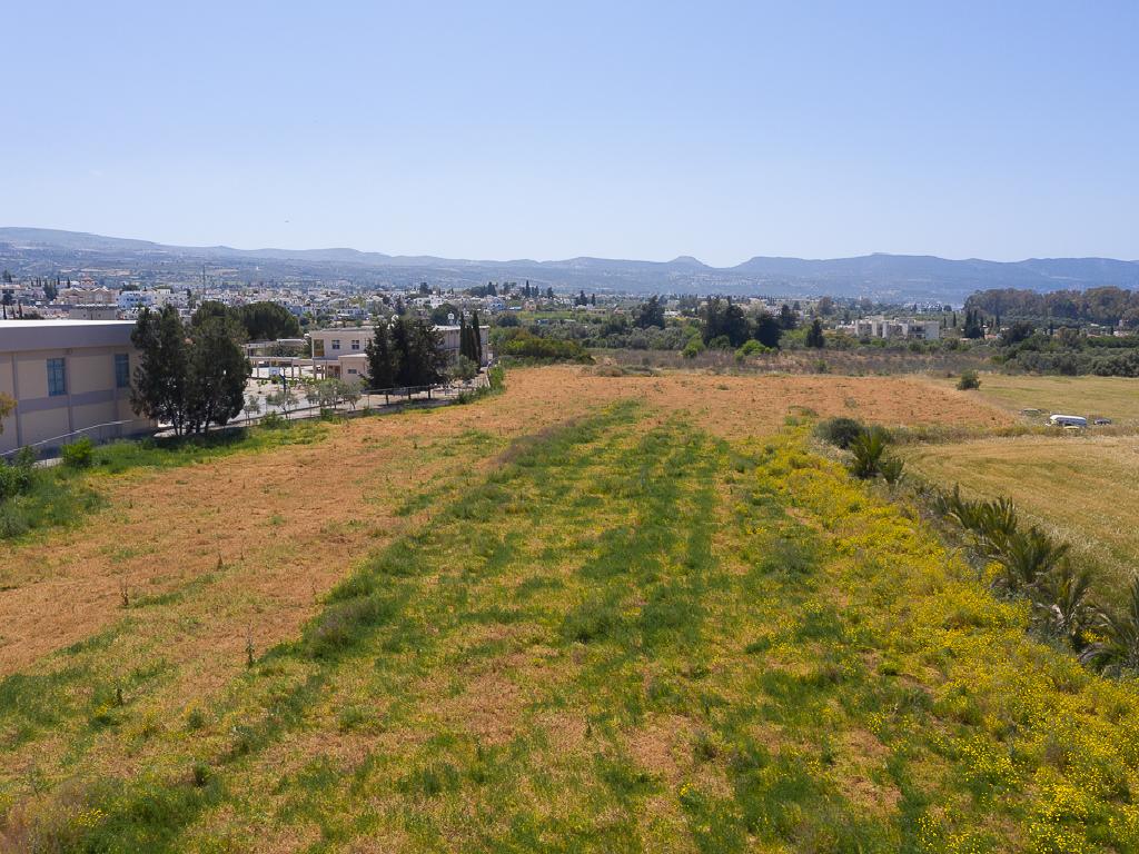 Field-Polis Chrysochous-PR35475