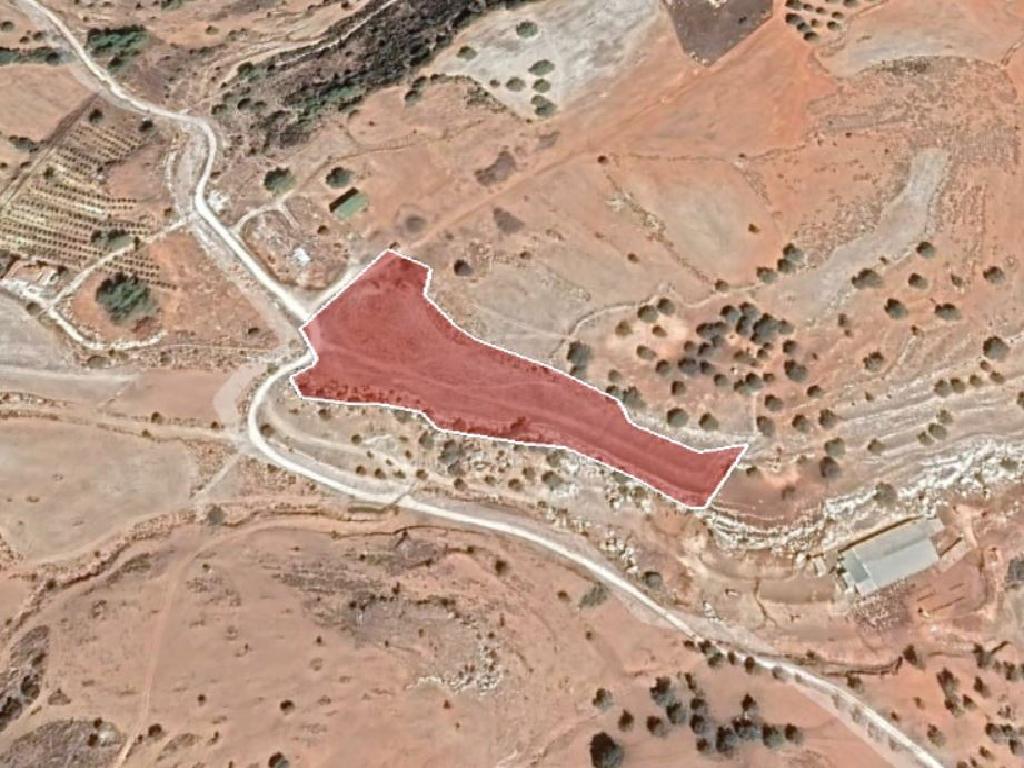 Field - Neo Chorio, Paphos