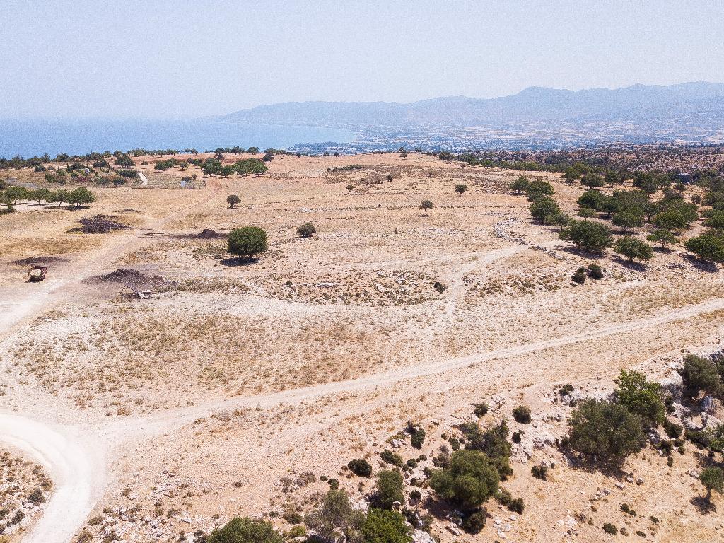 Field - Neo Chorio, Paphos