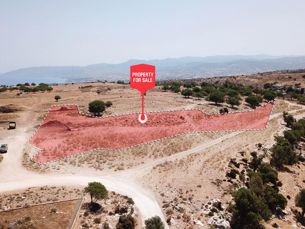 Field - Neo Chorio, Paphos