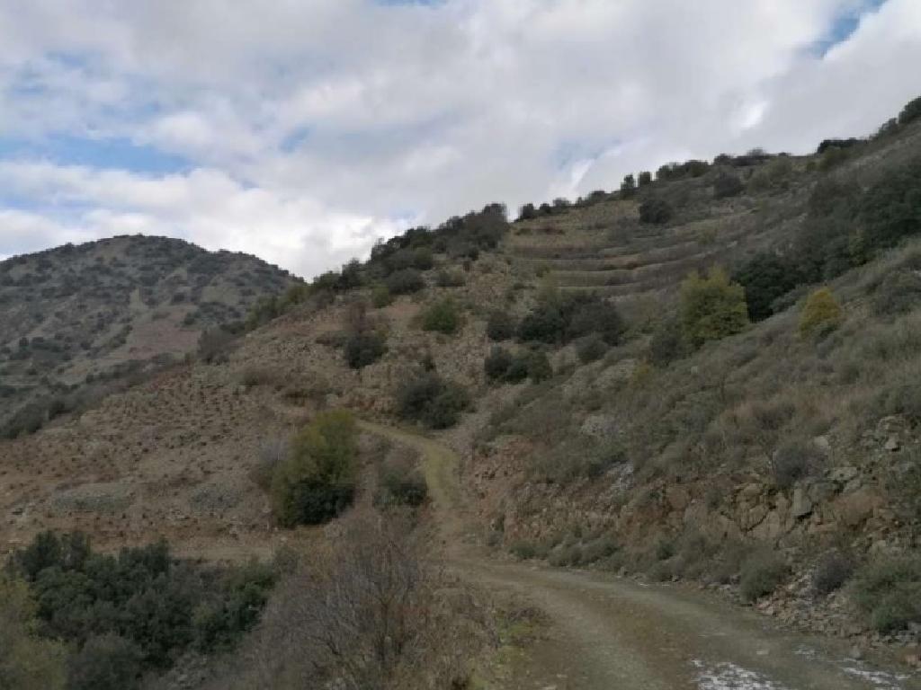 Field-Farmakas-PR36238