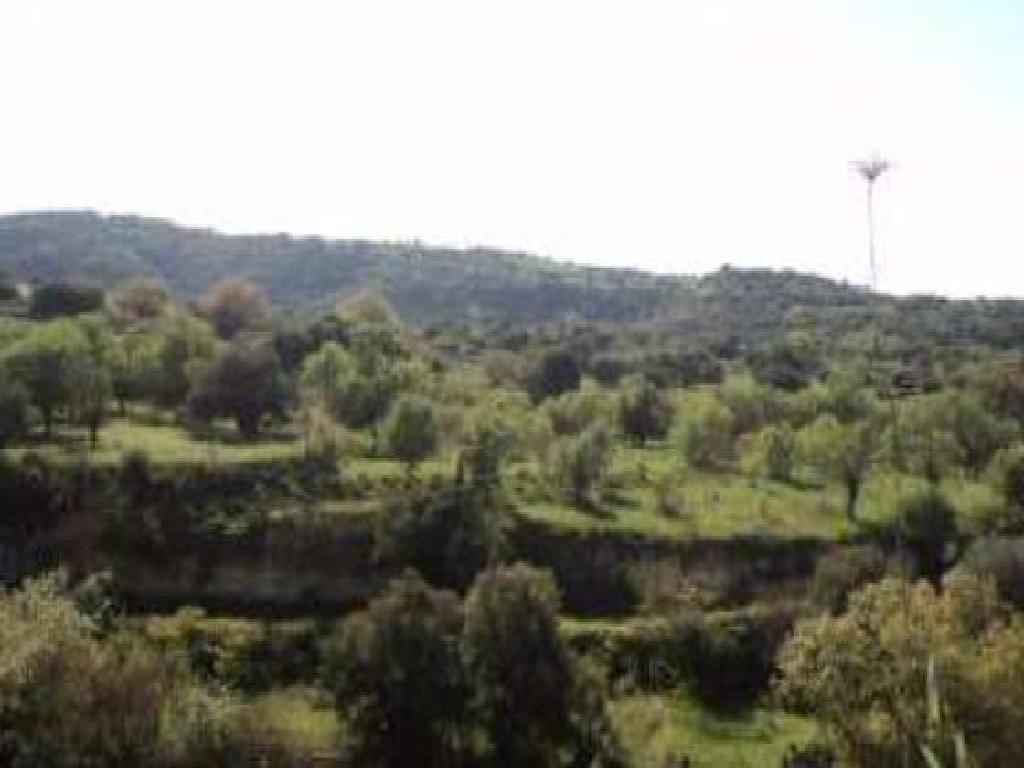 Field-Lemona-PR38097