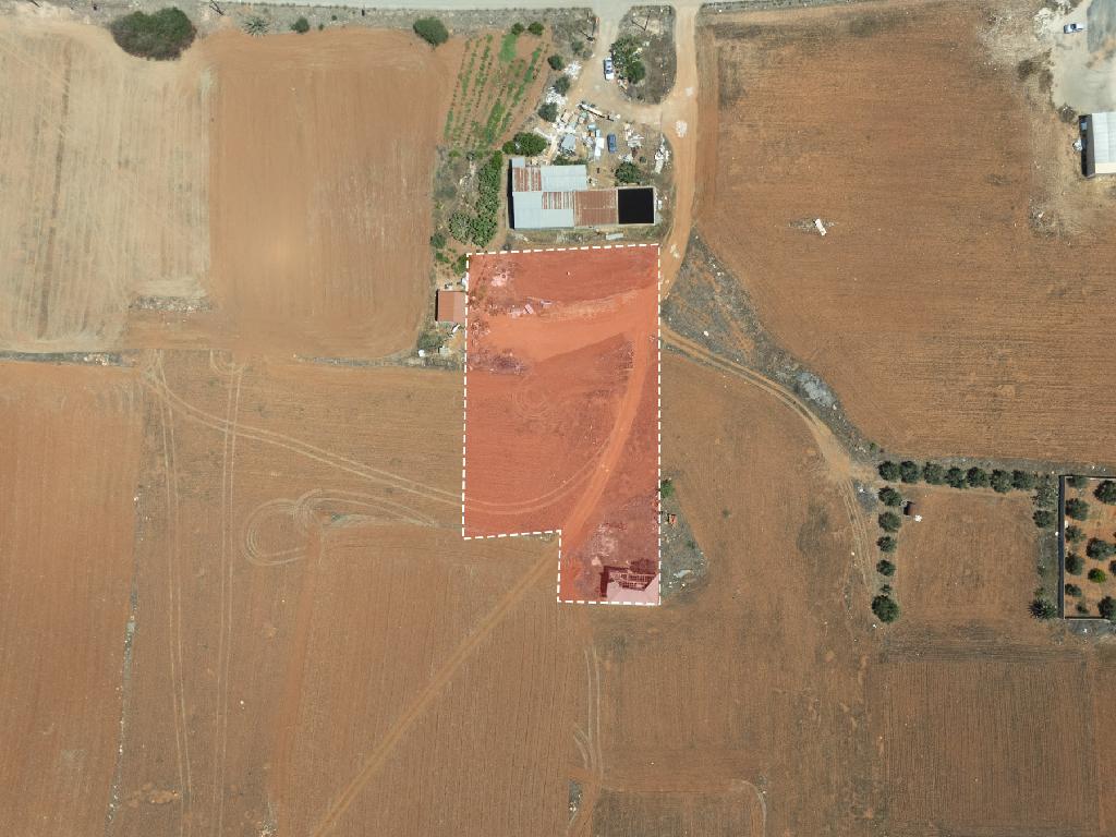Field-Kokkinotrimithia-PR39846