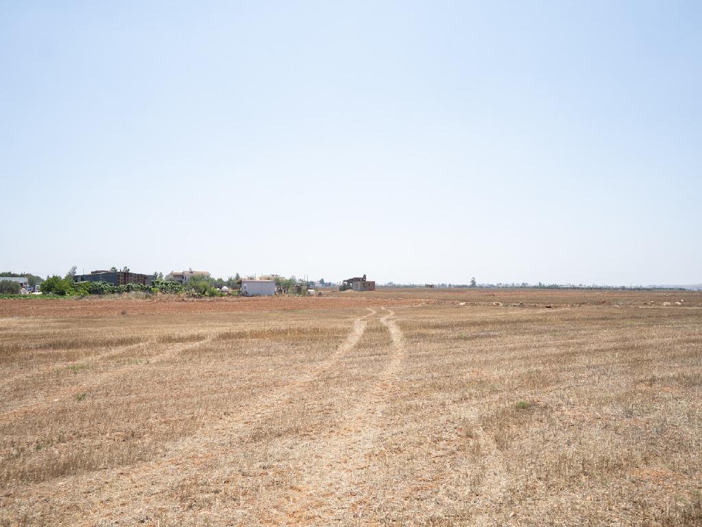 Field-Kokkinotrimithia-PR39846