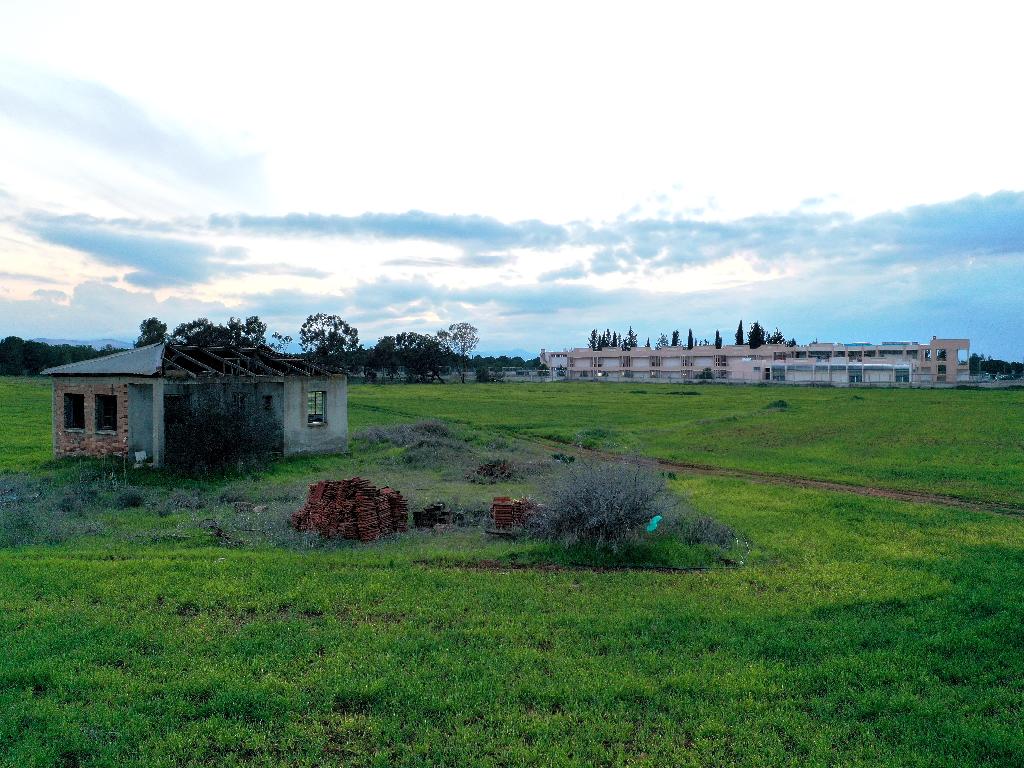 Field-Kokkinotrimithia-PR39846