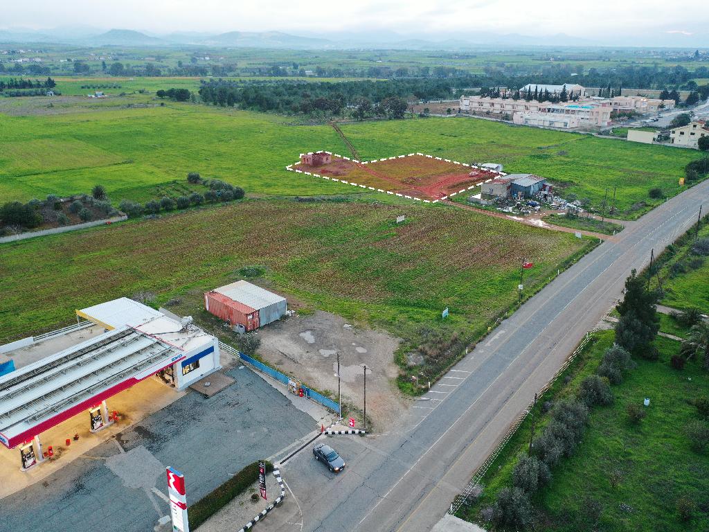 Field-Kokkinotrimithia-PR39846