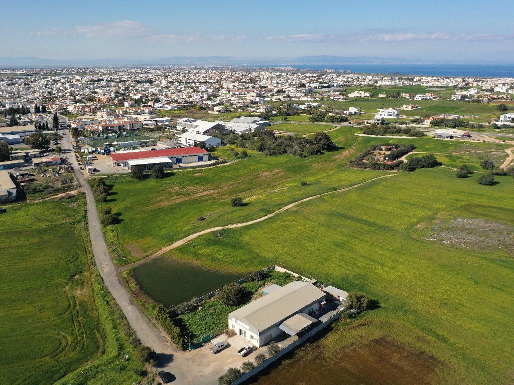 Field-Paralimni-PR40727