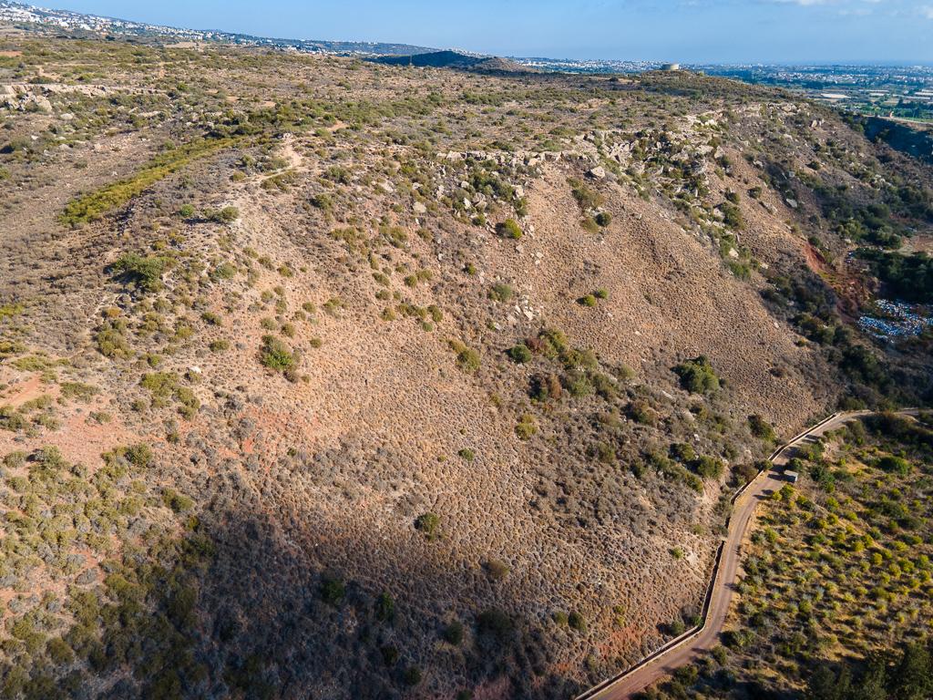 Field-Pegeia-PR41072