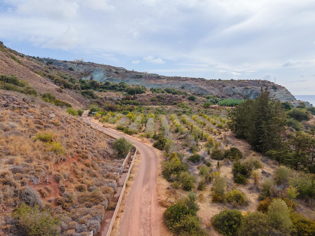 Field-Pegeia-PR41072